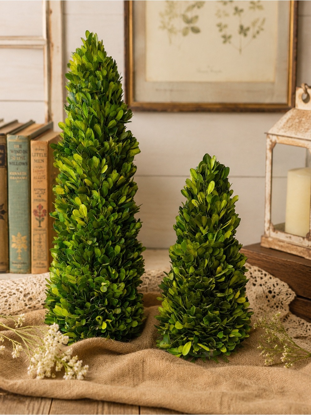 Preserved boxwood Topiary